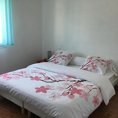 Maison Entière De 4-5 Pers Avec Piscine Appartement