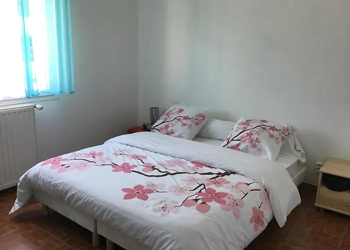 Maison Entière De 4-5 Pers Avec Piscine Appartement